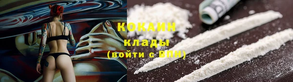 прущие грибы Липки