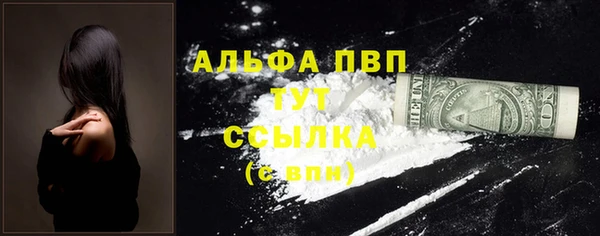прущие грибы Липки
