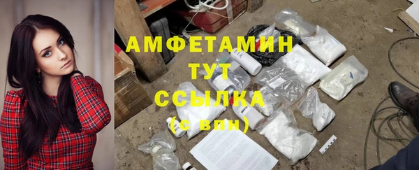 прущие грибы Липки