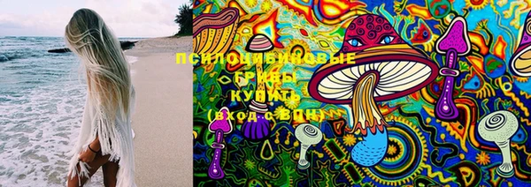 прущие грибы Липки