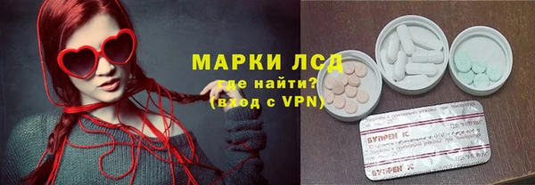 прущие грибы Липки