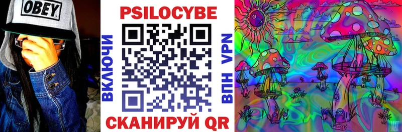 Псилоцибиновые грибы Psilocybine cubensis наркошоп Емва